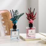 [OD]Cherry Blossom Garden